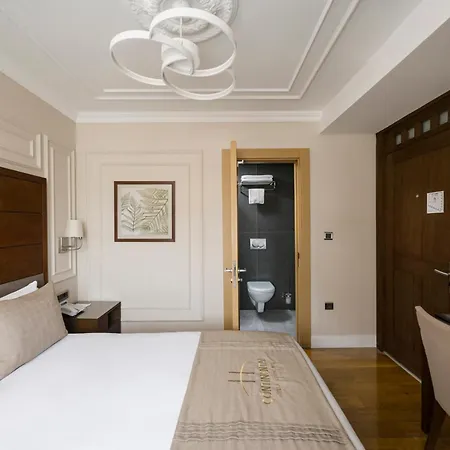 Continental Pera Hotel Istanboel